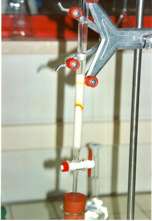 Carotene Separazione Beta Carotene